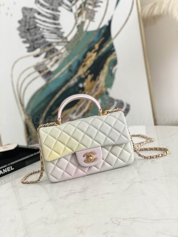 Chanel Handbags 134